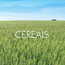Catálogo Cereais