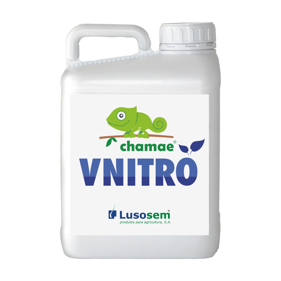 CHAMAE VNITRO 12