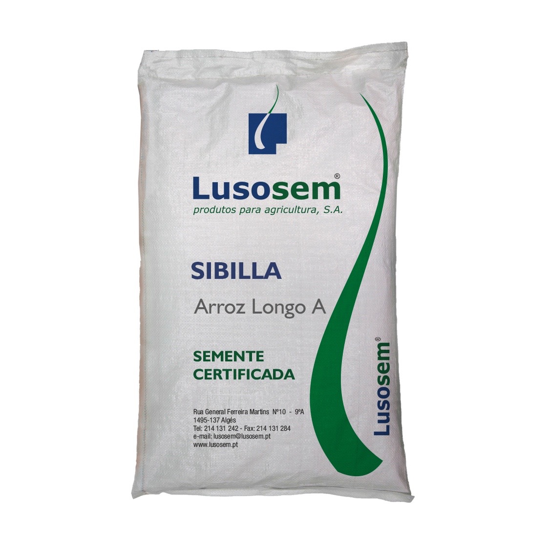 SIBILLA