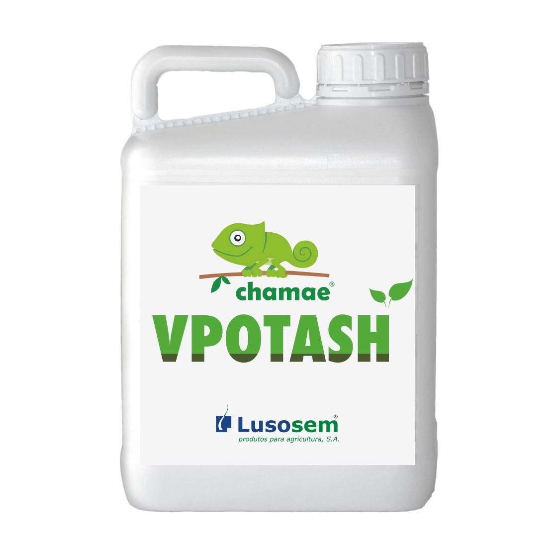 CHAMAE VPOTASH12