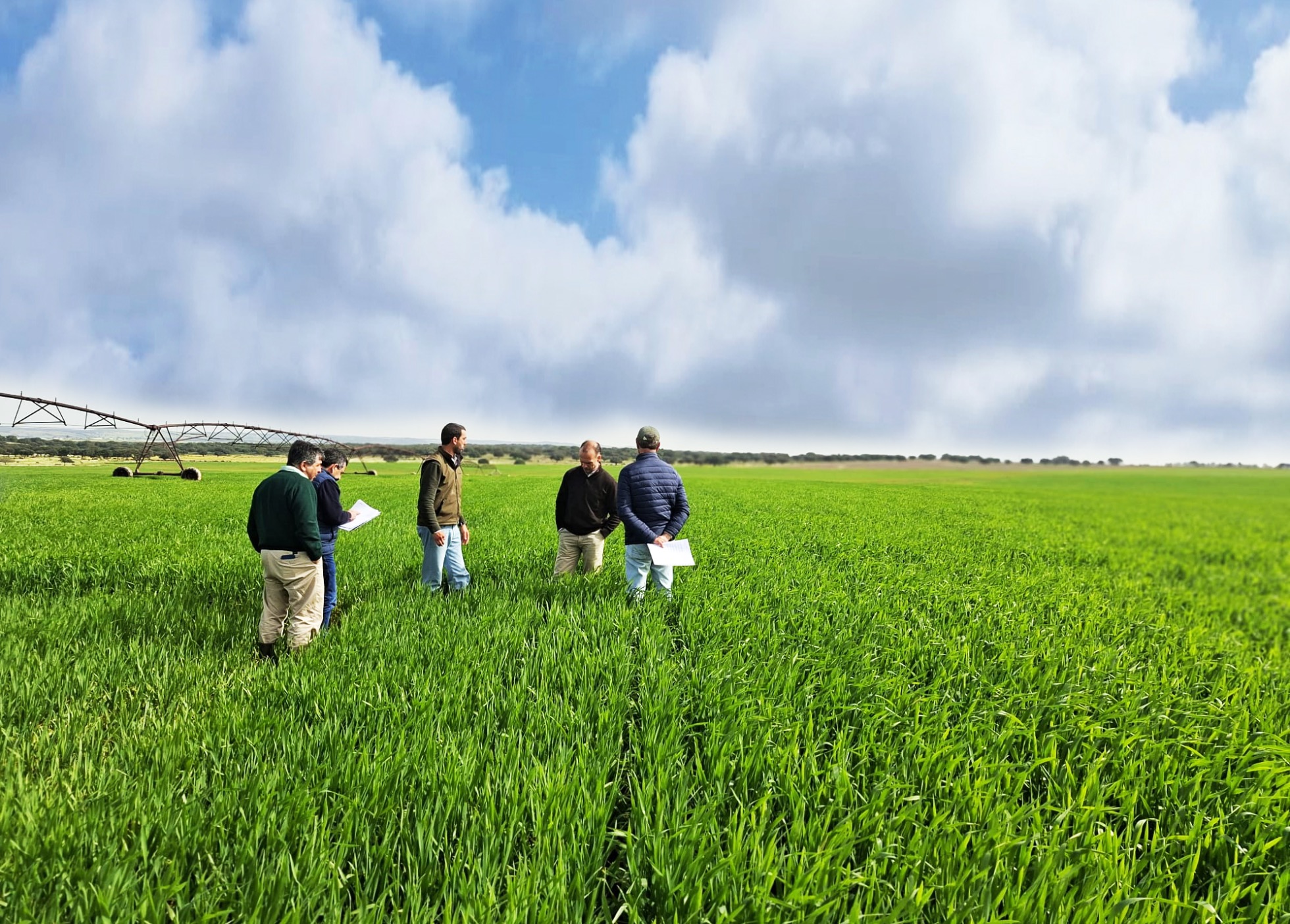 Equipa Lusosem na Avaliação dos Campos de Multiplicação 2026