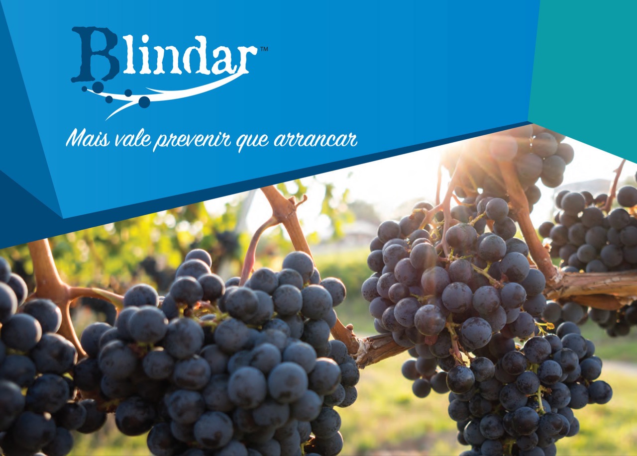 Blindar - Lusosem lança novo fungicida
