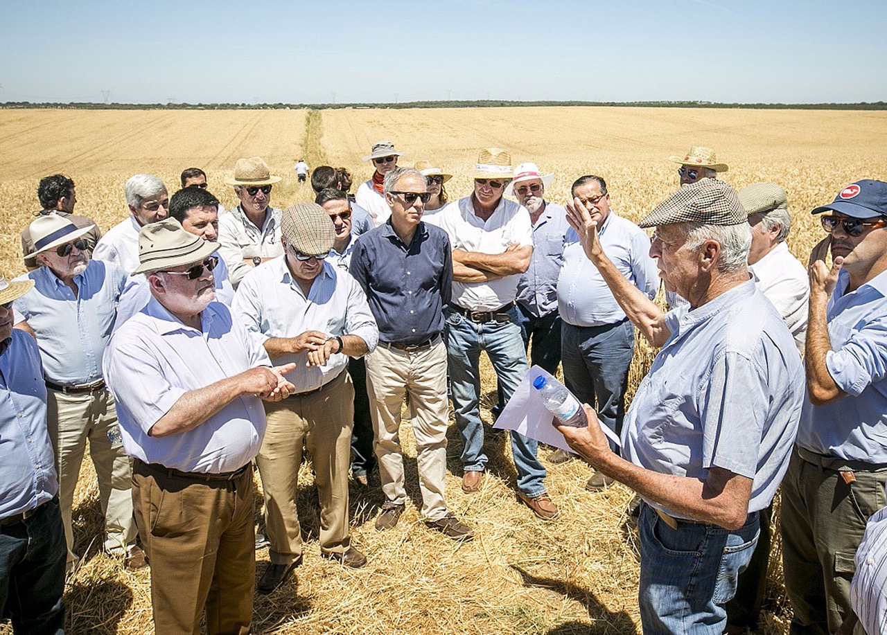 Discurso Direto - Cereais do Alentejo são cereais do futuro - Entrevista a Fernando Carpinteiro Albino