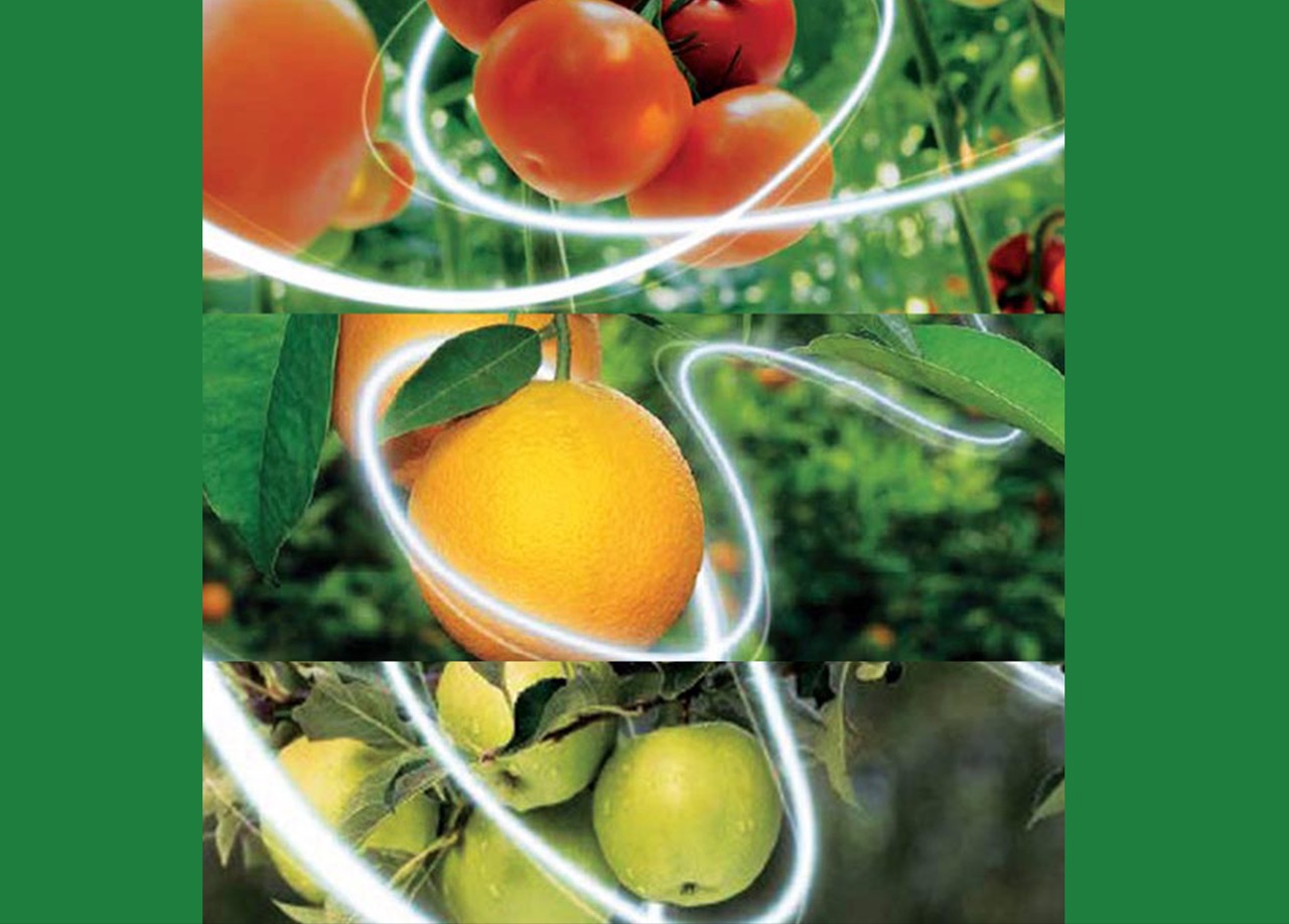 Closer® - Insecticida com Novo Modo de Ação para Controlo de Afídeos, Cochonilhas e Mosca Branca