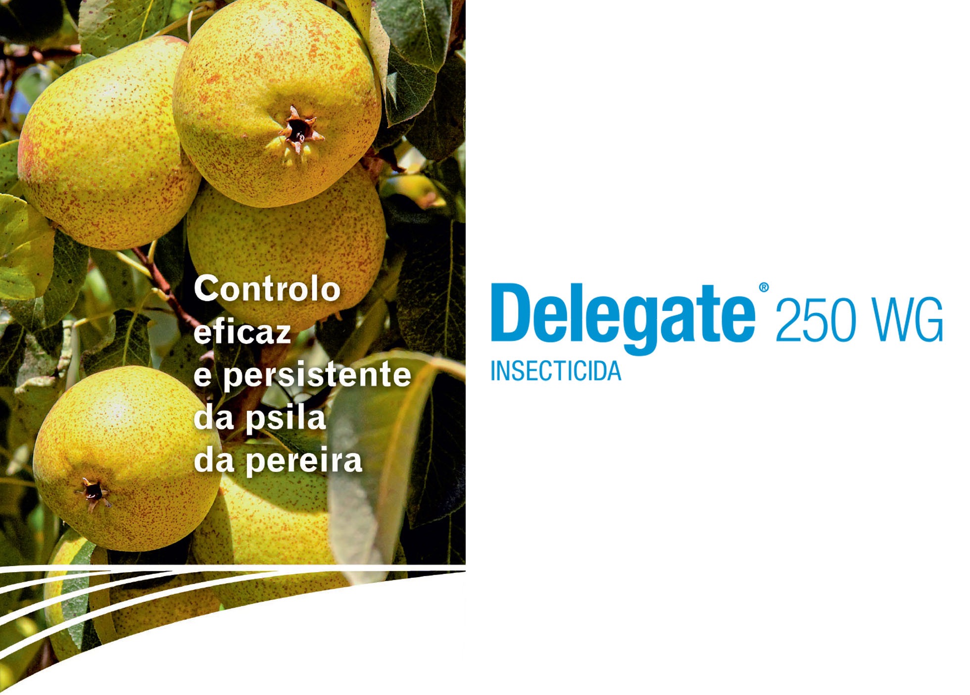 DELEGATE novo inseticida para controlo da psila da pereira