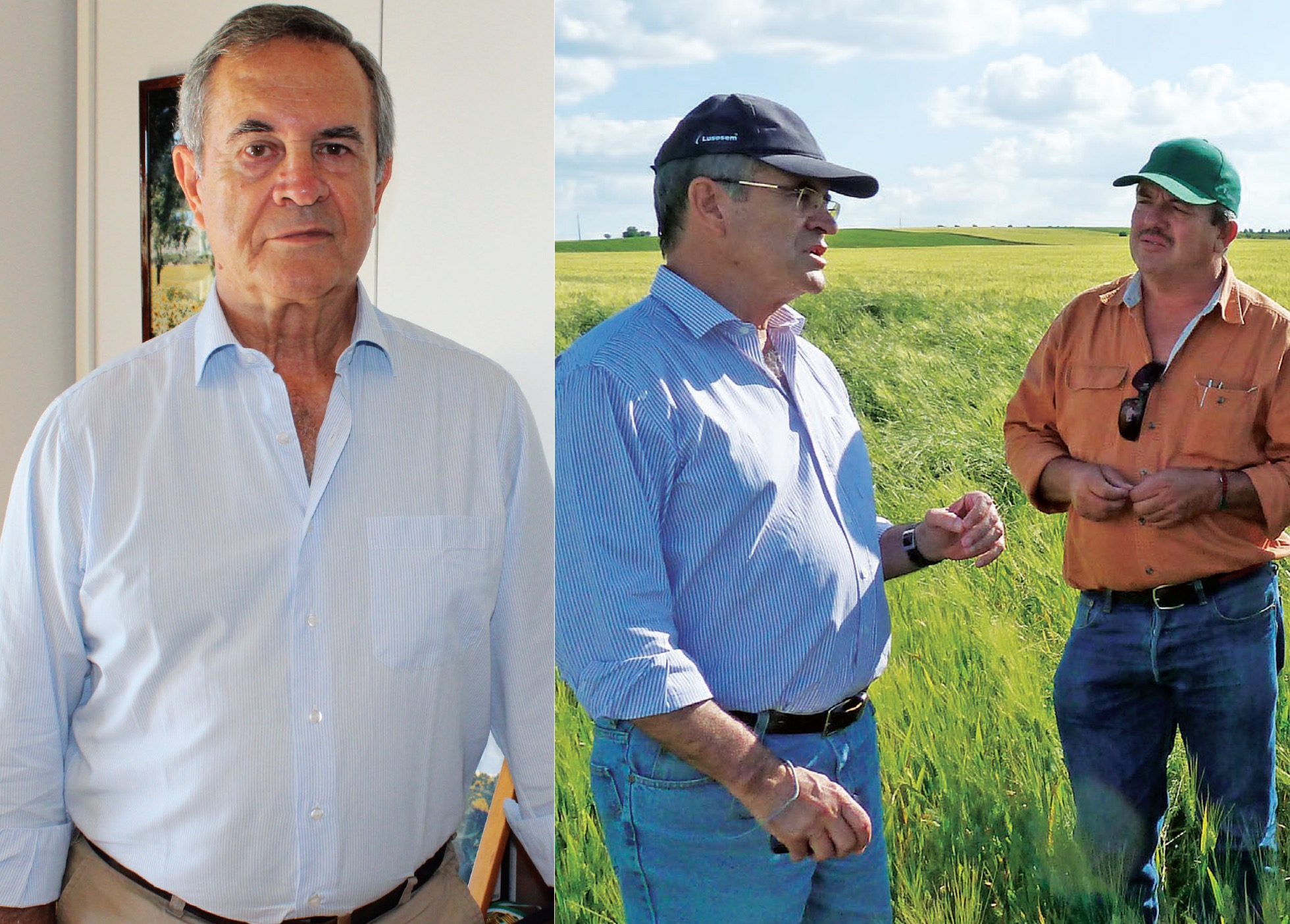 «É urgente investir no melhoramento de sementes em Portugal»