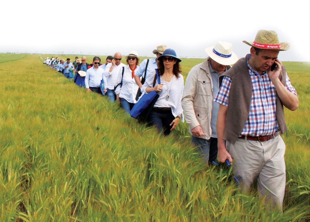 Lusosem participa em ensaios de cereais biológicos da CERSUL