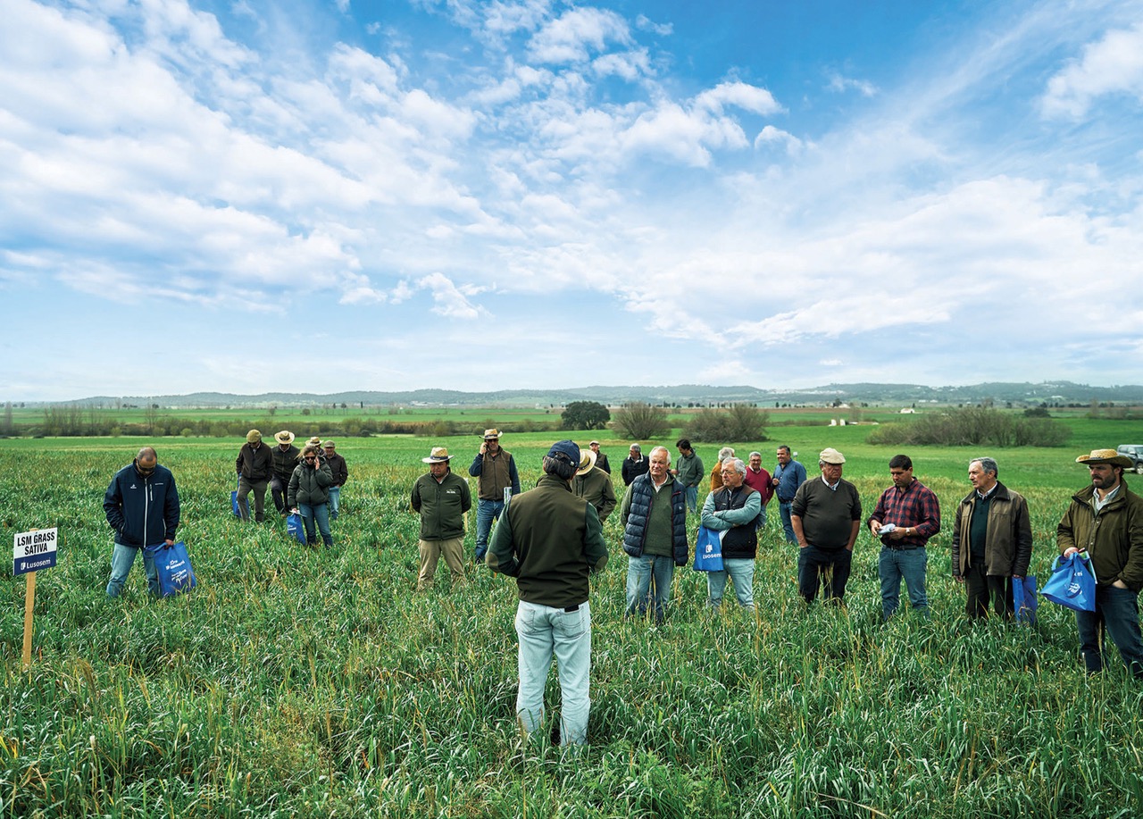 Forragens de Qualidade para Elevados Rendimentos