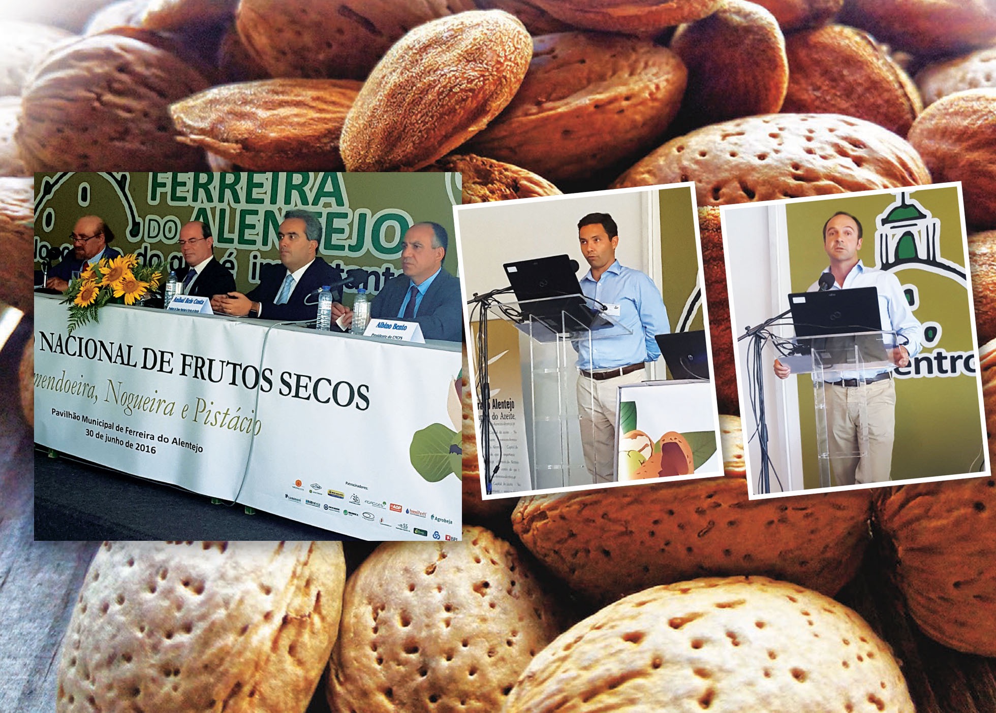 I Simpósio Nacional de Frutos Secos