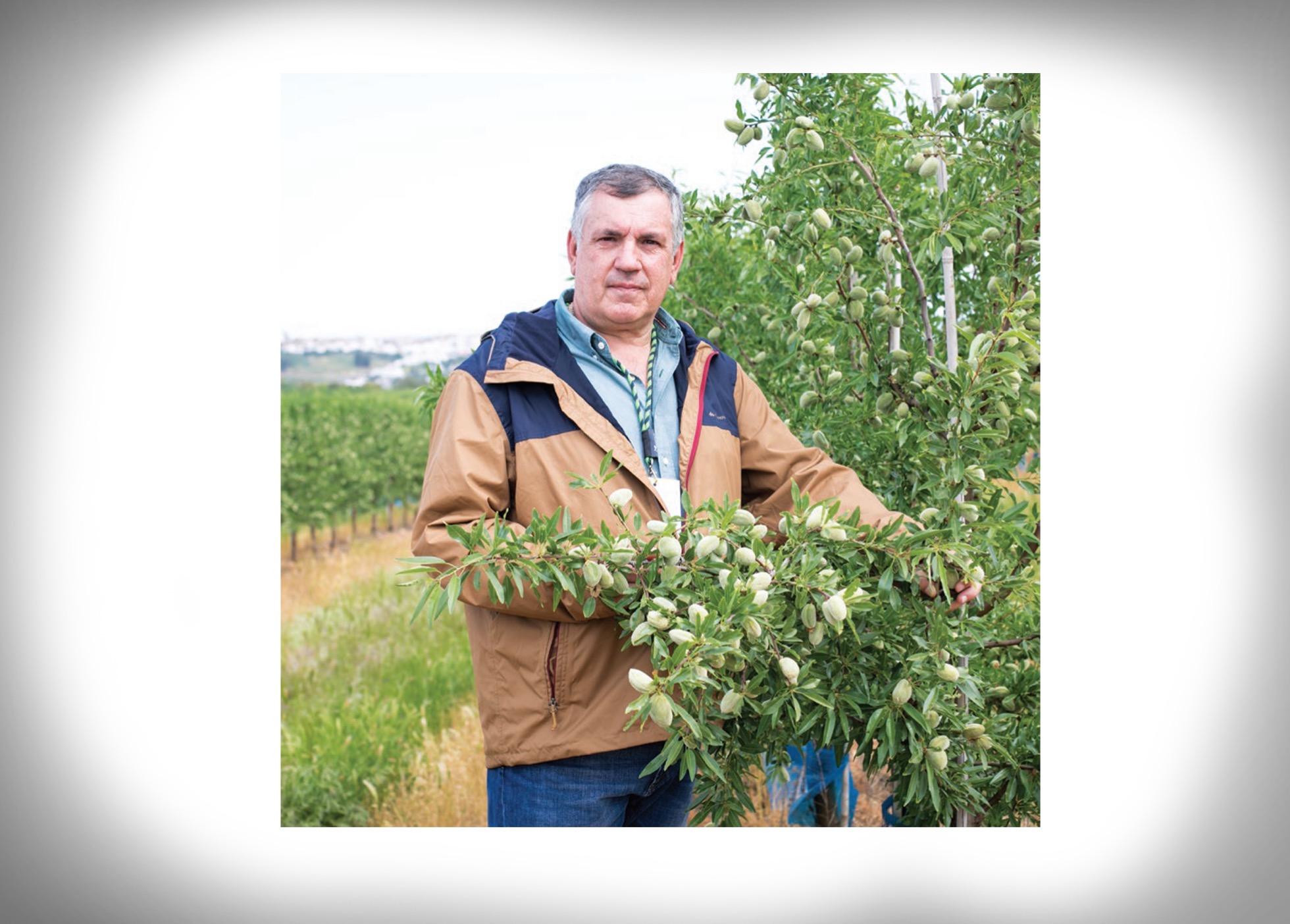 Competitividade do Amendoal e do Olival 