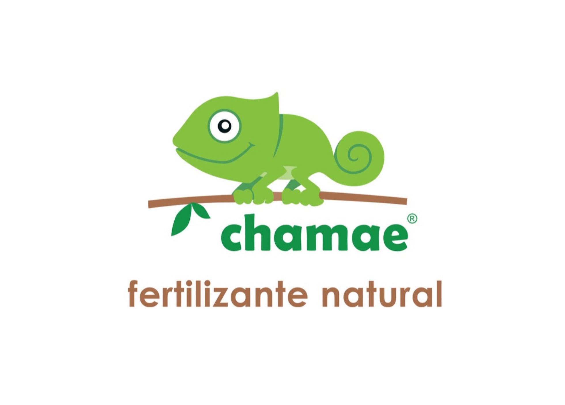 Lusosem e Chamae um passo rumo ao Natural