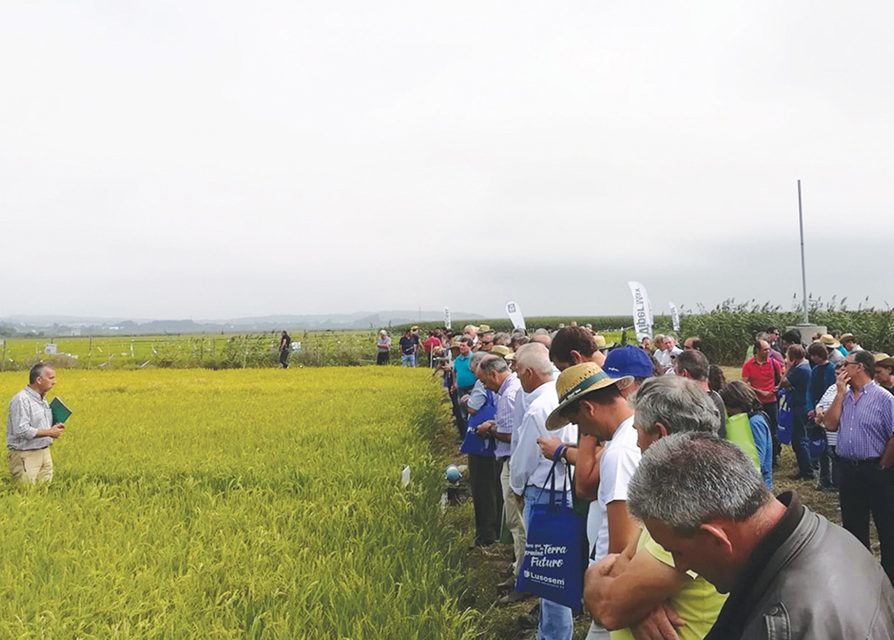 Lusosem participou com múltiplas atividades no Mondego Agrícola 2019