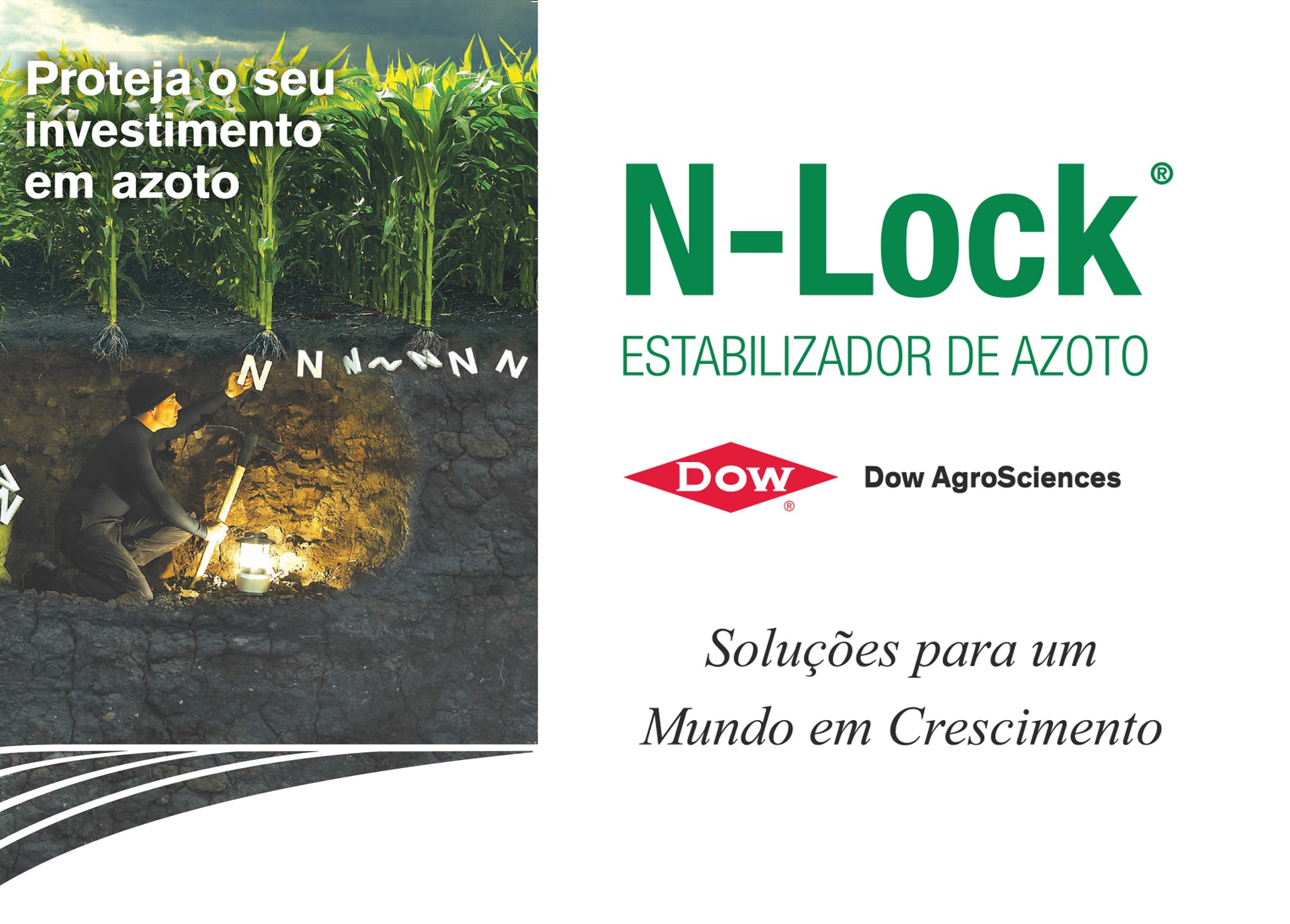 N-Lock estabilizador de Azoto – protege o seu investimento