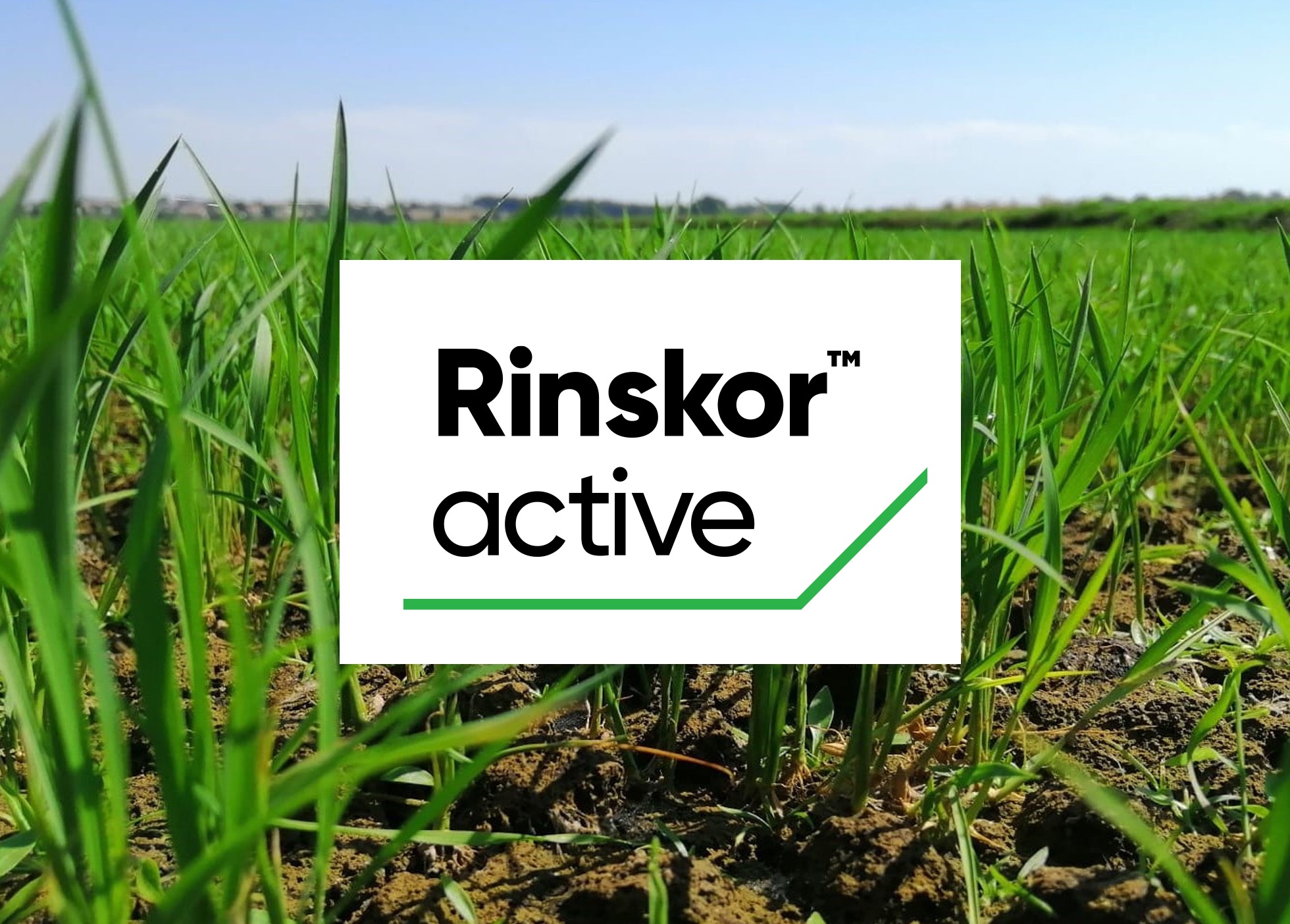 Entrevista a José António Rodriguez