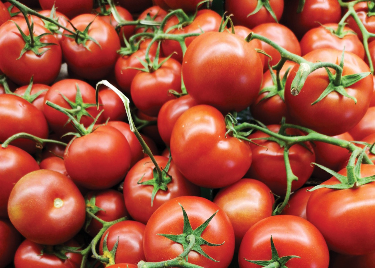 Lusosem Comprometida com Práticas Sustentáveis