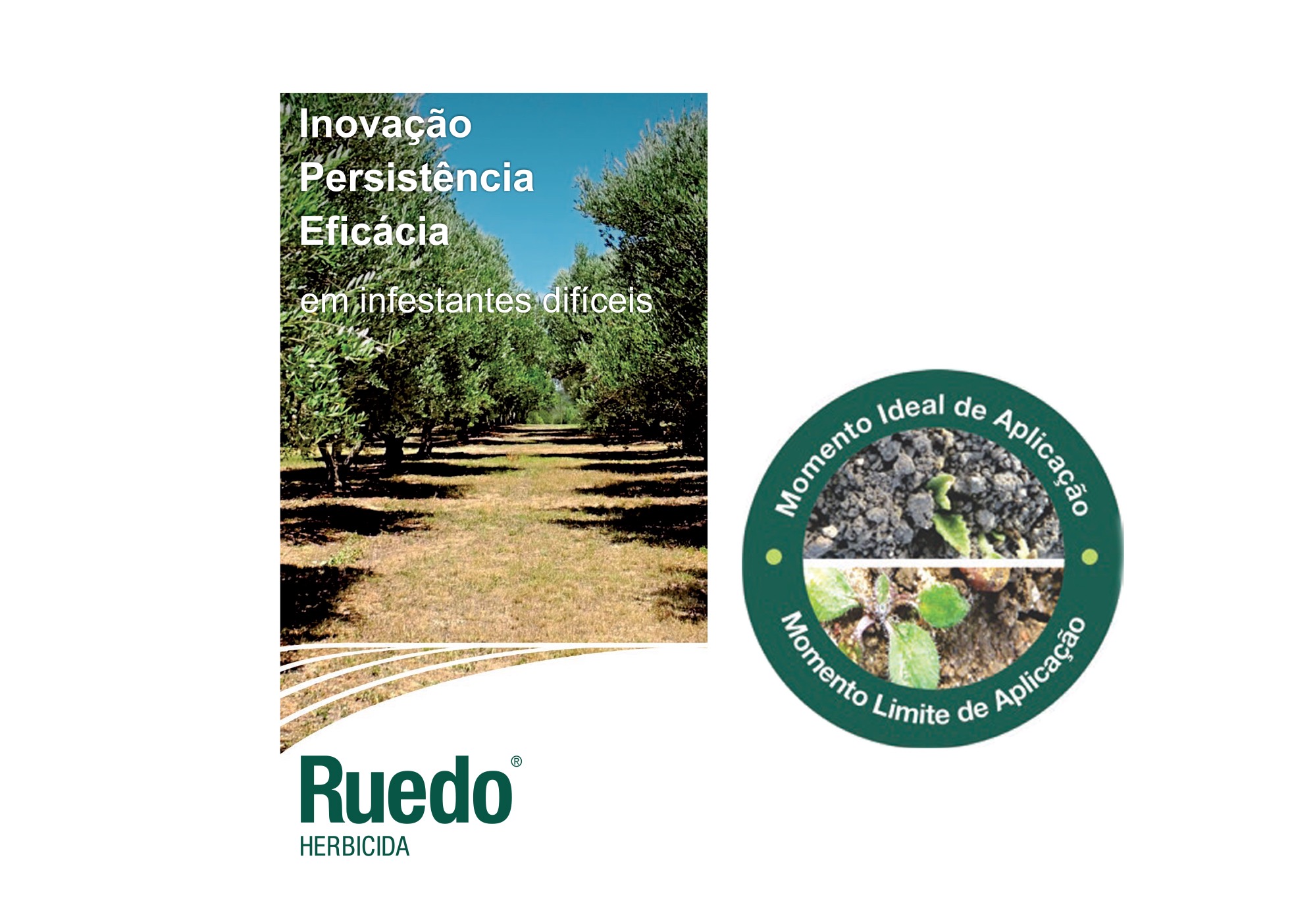 RUEDO - Eficácia e persistência no controlo de infestantes em Olival e Citrinos