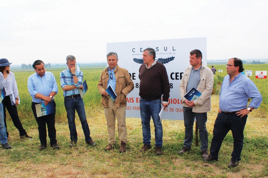 Agricultores e dirigentes da Cersul explicam os objetivos dos ensaios