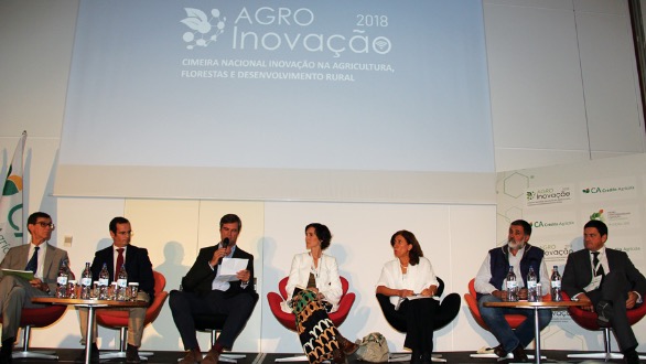 Apresentação das conclusões das sessões temáticas: Gonçalo Leal, Gonçalo Andrade, José Palha, Conceição Silva, Rosa Amador, Eduardo Mira Cruz, Nuno Ca
