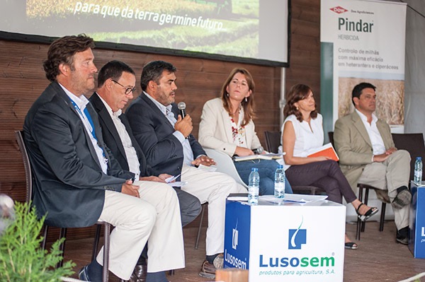 Painel da Mesa Redonda “Inovação e Sustentabilidade na cultura do arroz em Portugal”