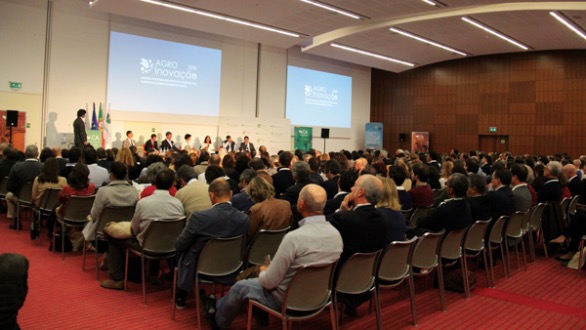 Apresentação das conclusões das sessões temáticas