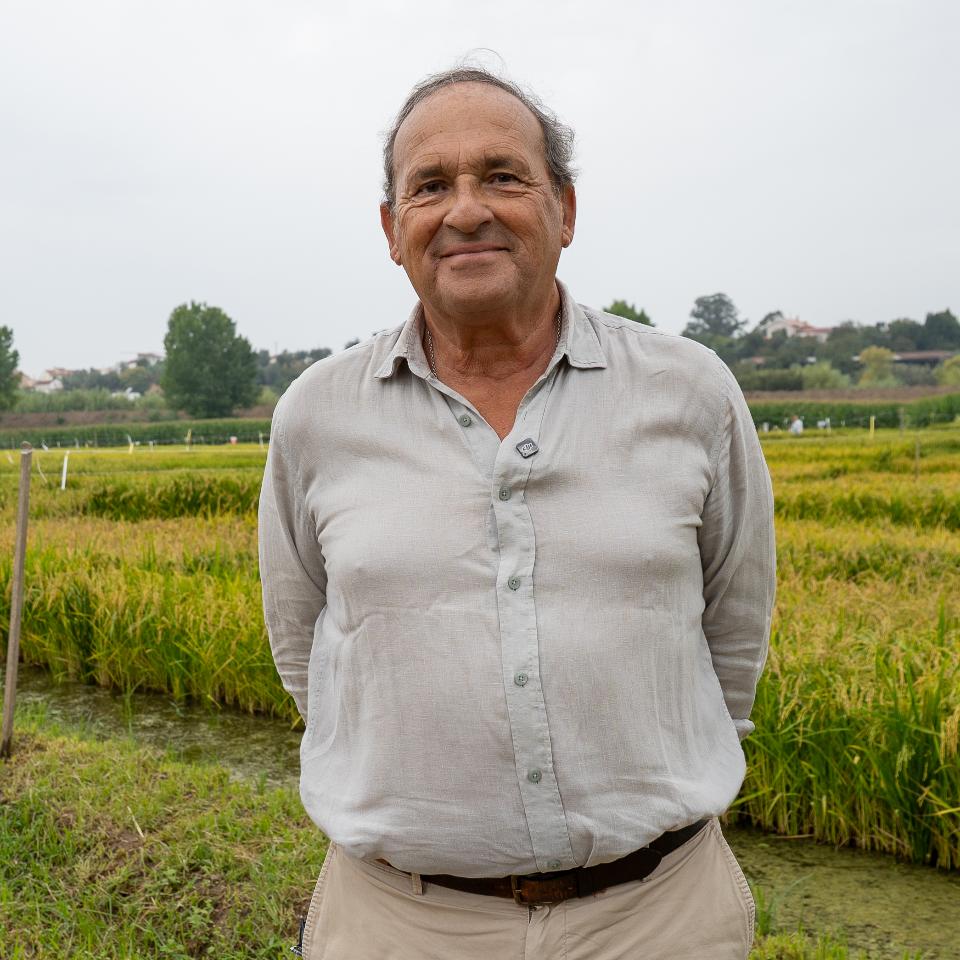 Carlos Parreira do Amaral, presidente da Associação de Orizicultores de Portugal