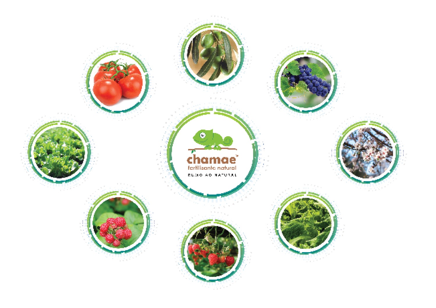 Chamar Fertilizante Natural