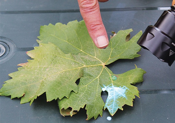 Demonstração do efeito do Sticman