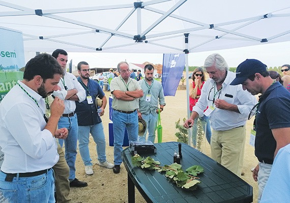Demonstração do efeito do Sticman no tamanho da gota e aderência ao alvo.