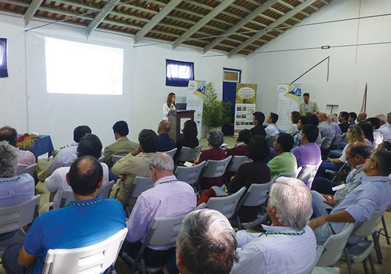 Filipa Setas, responsável de Desenvolvimento e Marketing da Lusosem, apresenta GO + Arroz