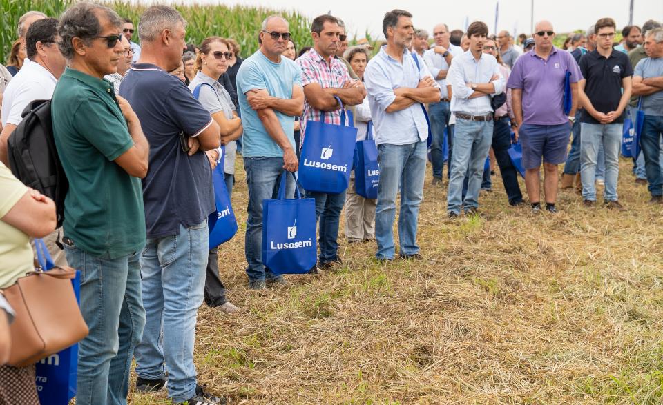 Dia aberto dos cereais do Baixo Mondego