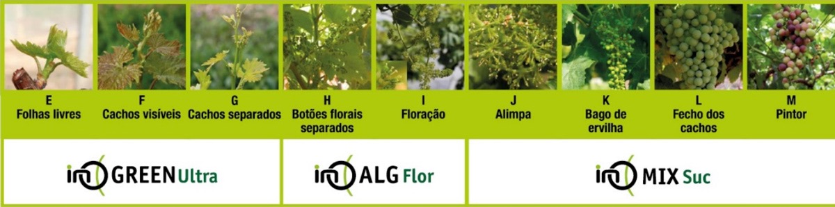 Estratégia Lusosem Nutrição da Vinha