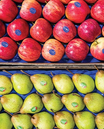 Pêras e Maçãs - Fruit Attraction Portugal