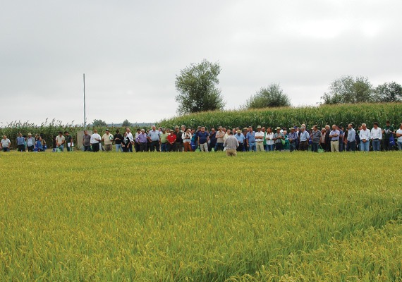 Visita a Ensaios em Dia Aberto