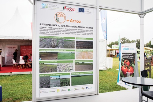 GO + Arroz - projeto de investigação liderado pela Lusosem visando soluções integradas para o problema do controlo de infestantes em arroz