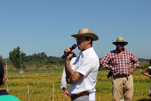Gonçalo Canha, membro da equipa de Desenvolvimento da Lusosem