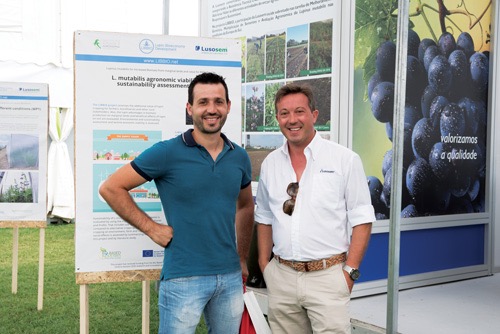 LIBBIO - projeto europeu de investigação aplicada sobre tremoço dos Andes onde a Lusosem é um dos 14 parceiros do consórcio