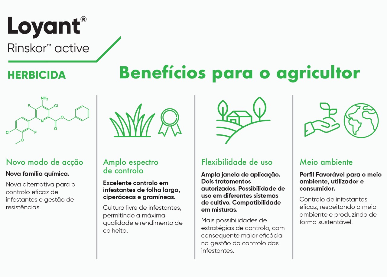 Loyant - O novo herbicida para a cultura do arroz