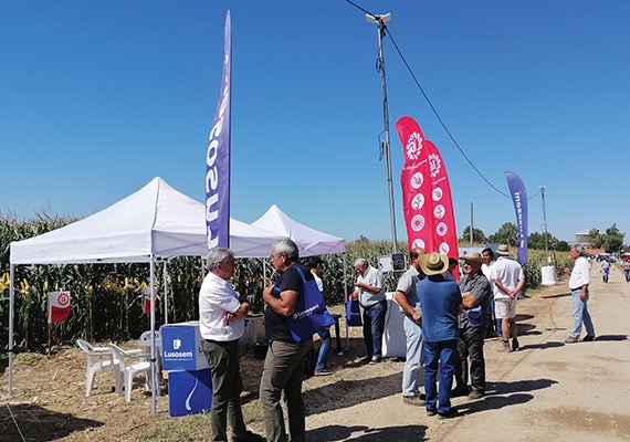 Stand da Lusosem com presença de variedades de milhos híbridos LG