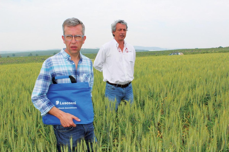 Manuel Laureano, diretor comercial da Lusosem, apresentou o Chamae, um fertilizante líquido natural usado numa parcela dos ensaios
