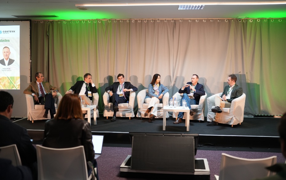 Mesa-redonda_2: “O Arroz Amanhã” – Áreas estratégicas – Oportunidades 