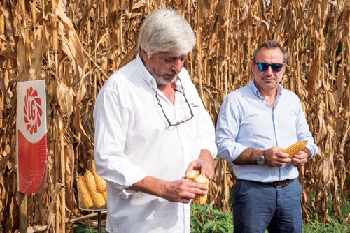 Novidades LG apresentadas pela Lusosem