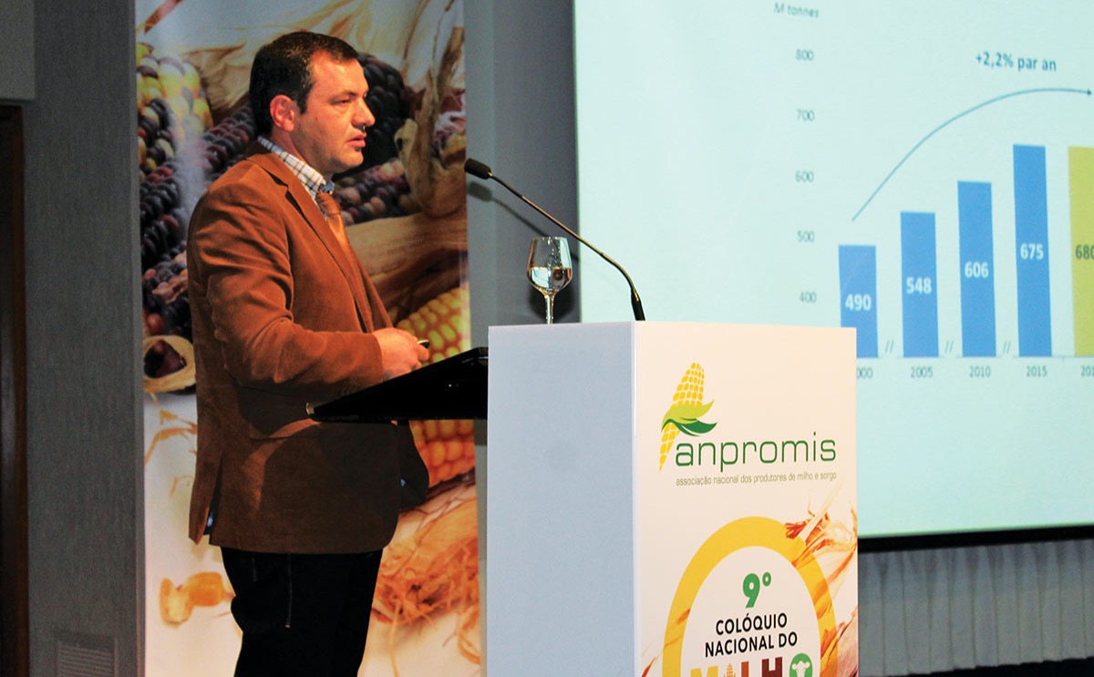 Pedro Pimenta, presidente da Cooperativa Agrícola de Coimbra