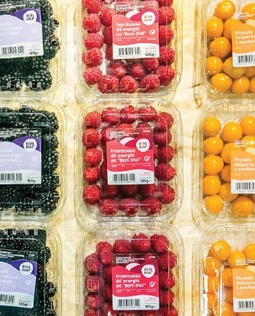 Amoras, Framboesas e Physalis - Portugal Fresh Fruit Attraction