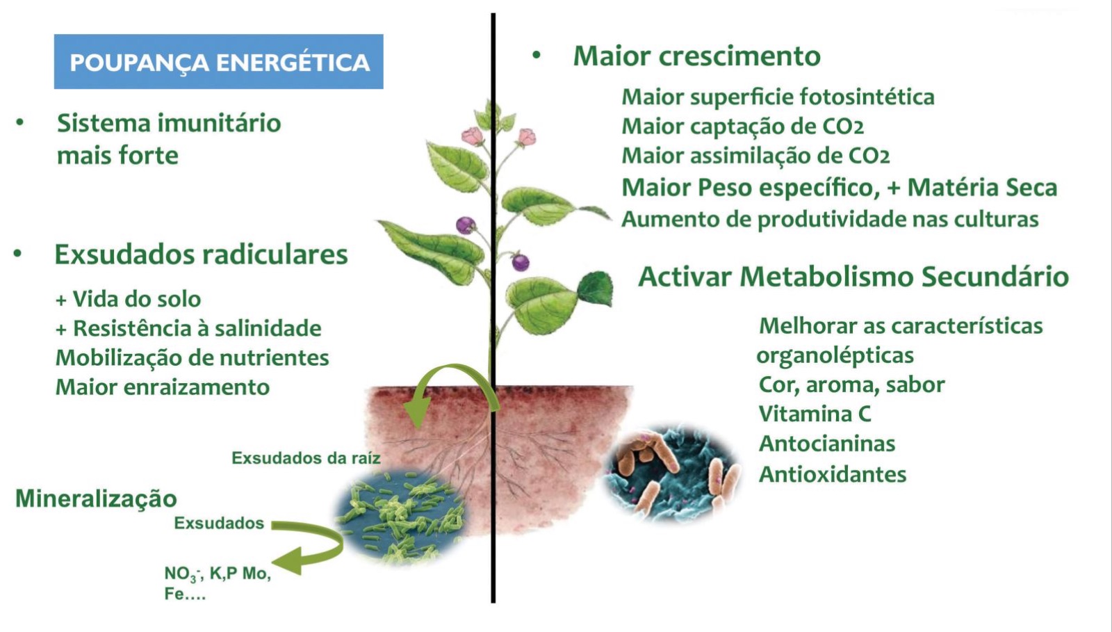 Poupança Energética