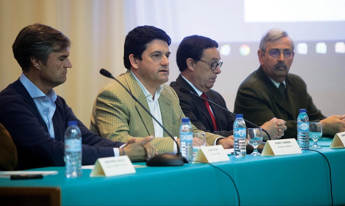 Representantes da ANPOC, INIAV, AOP e ANPROMIS