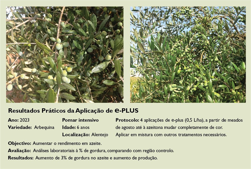 Resultados Práticos da Aplicação de e-PLUS