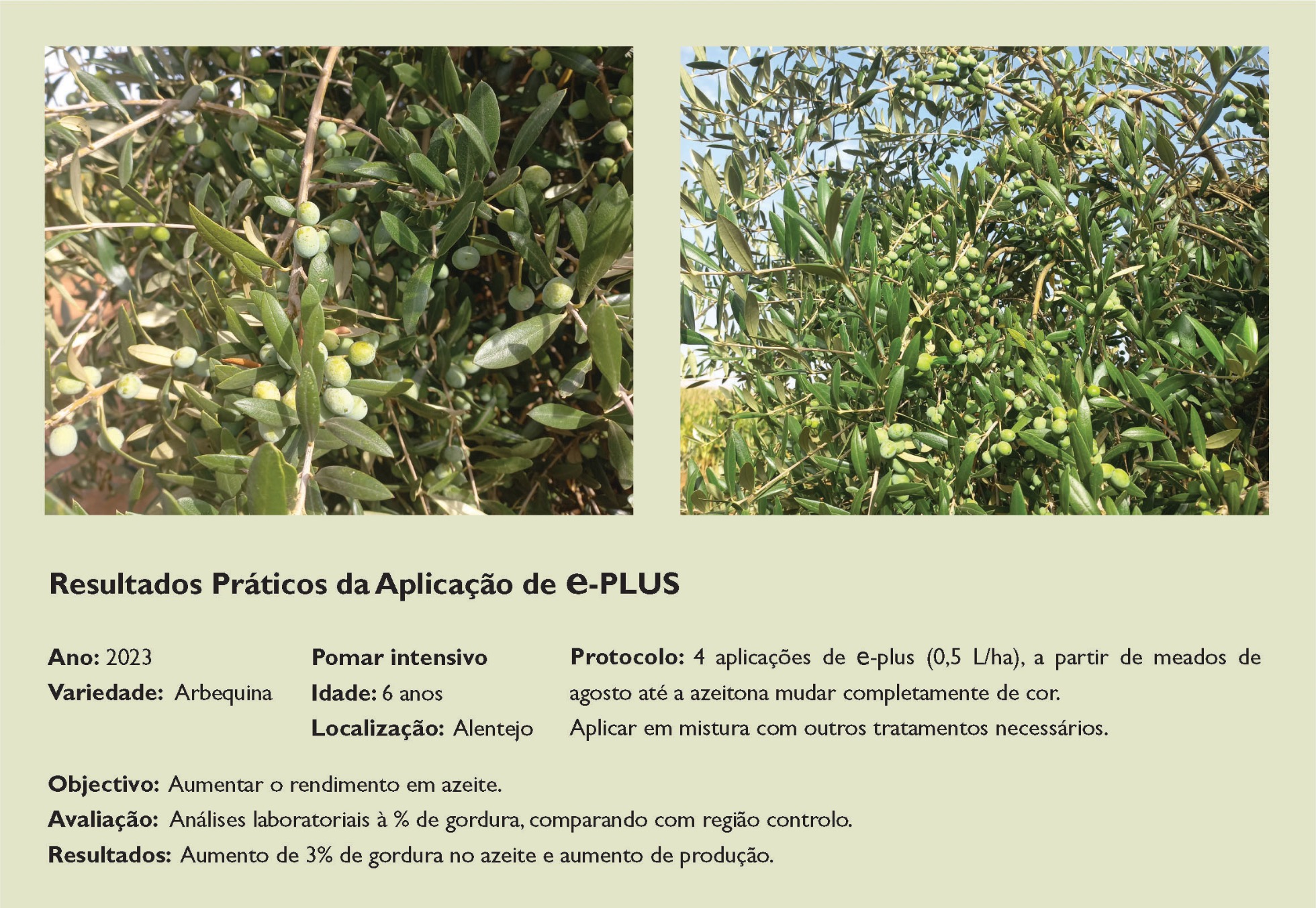 Resultados Práticos da Aplicação de e-Plus