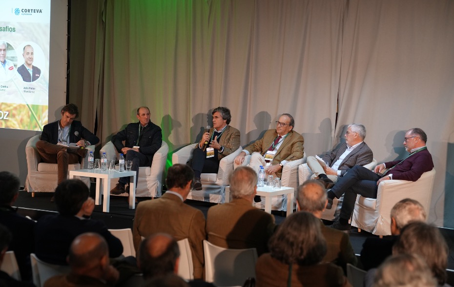 Mesa-redonda_1: O Arroz – Hoje – Contexto Atual – Desafios 