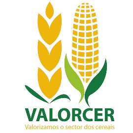 ValorCer