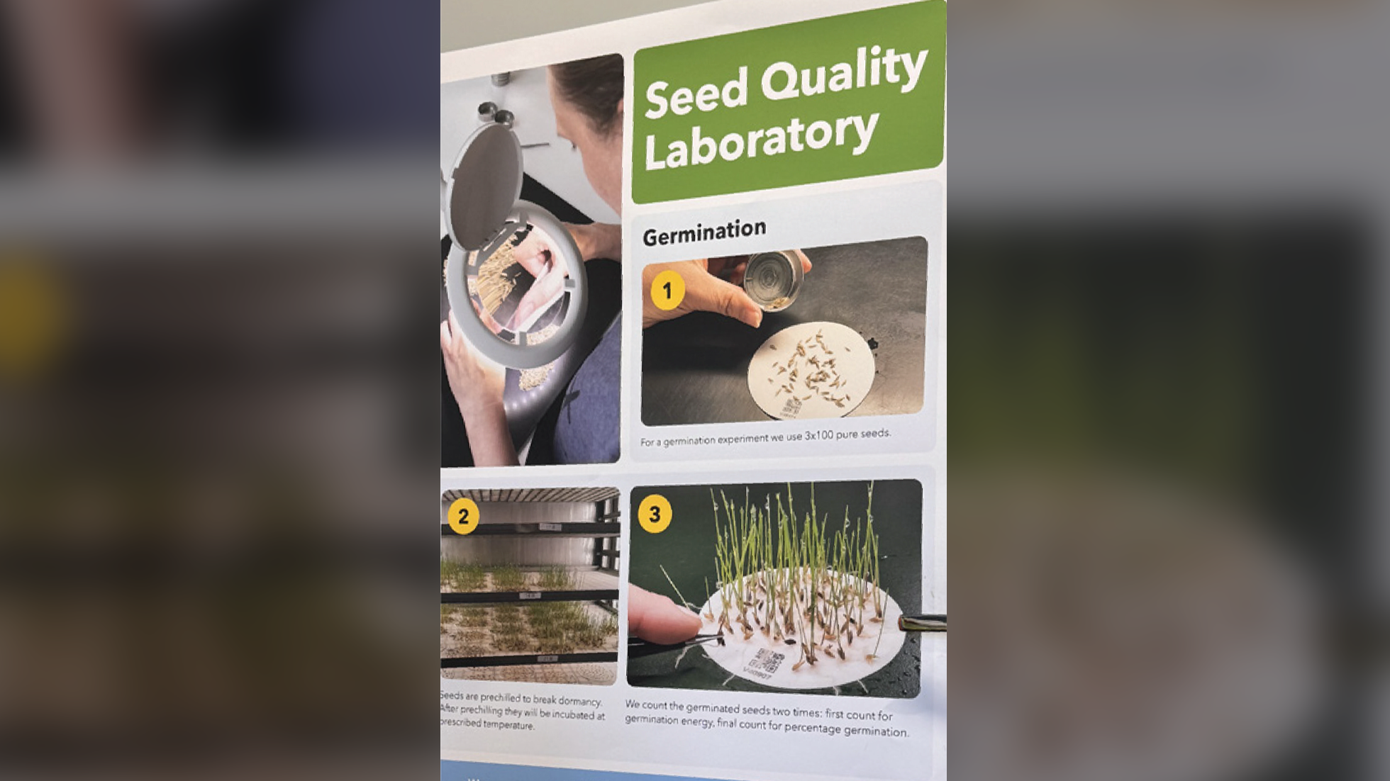 seed quality